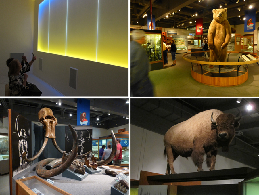 Alaska-2015-chptr03-13