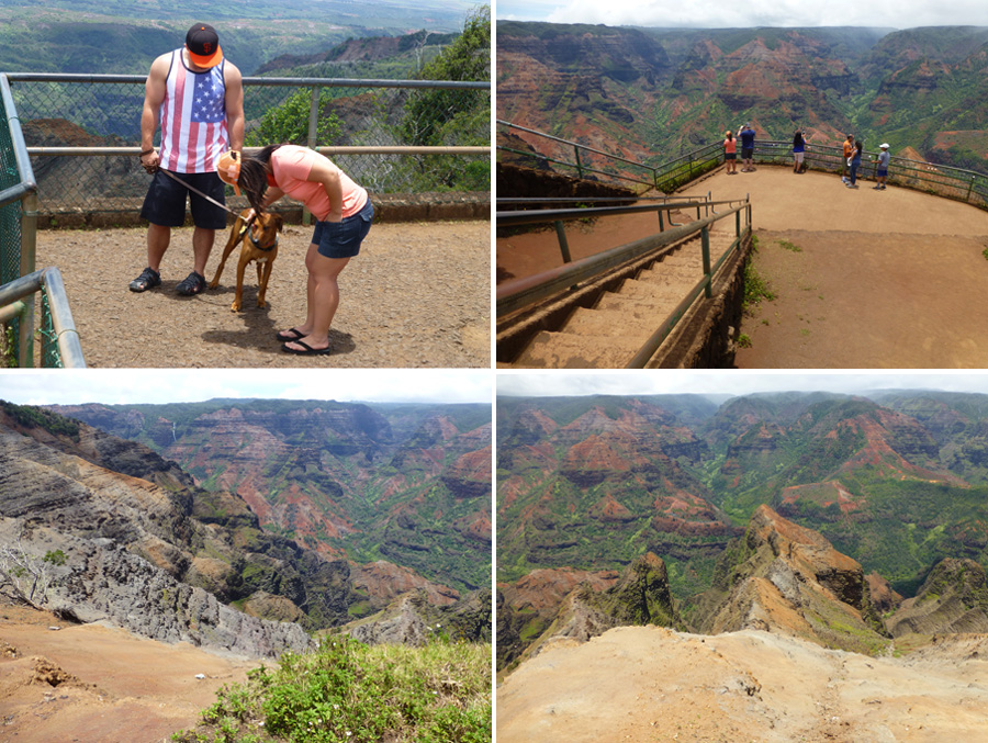 Kauai-Jun-2016-chptr01-25