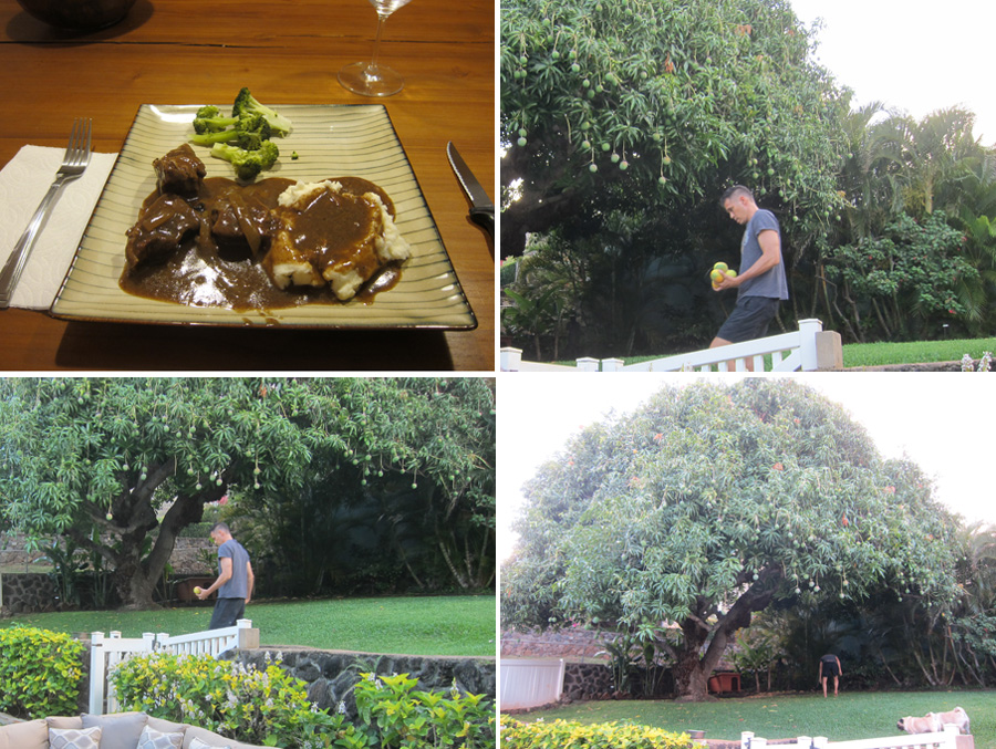 Kauai-Jun-2016-chptr04-13