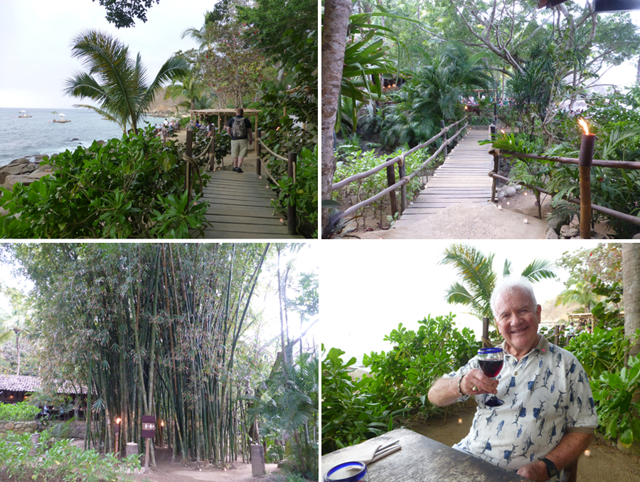 PuertoVallarta-Feb-2017-chptr03-03