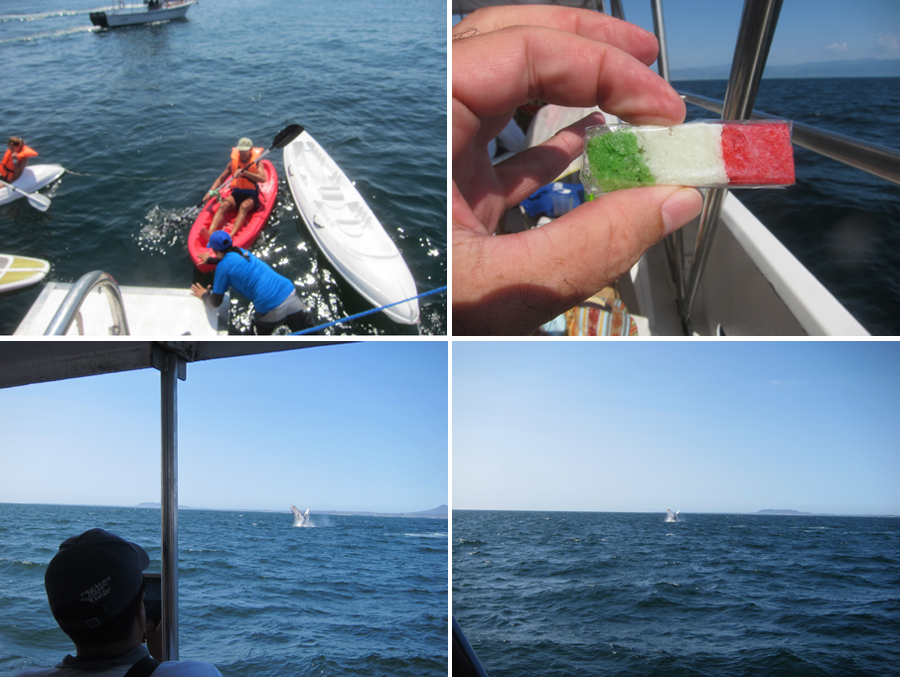 PuertoVallarta-Feb-2017-chptr05-09