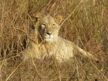 Pete-South-Africa-June-19-2017-043-Marker