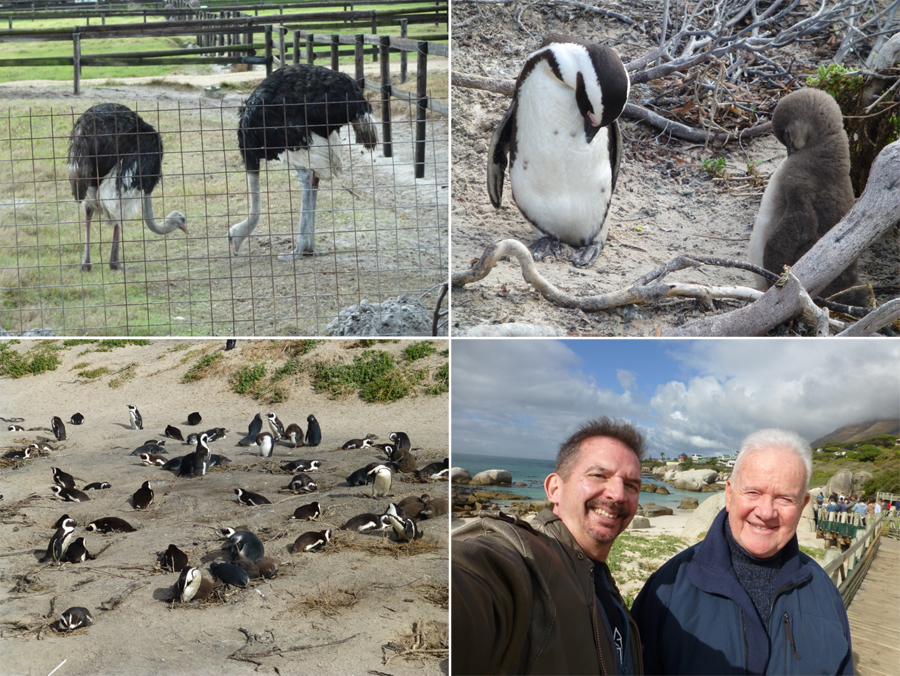 SouthAfrica-Jun-2017-chptr01-06