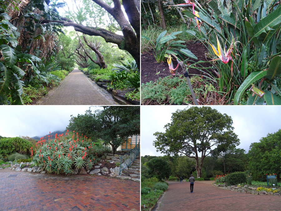 SouthAfrica-Jun-2017-chptr01-08