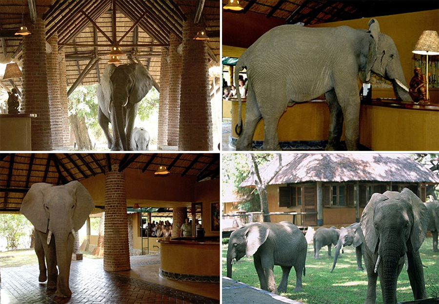 SouthAfrica-Jun-2017-chptr03-08