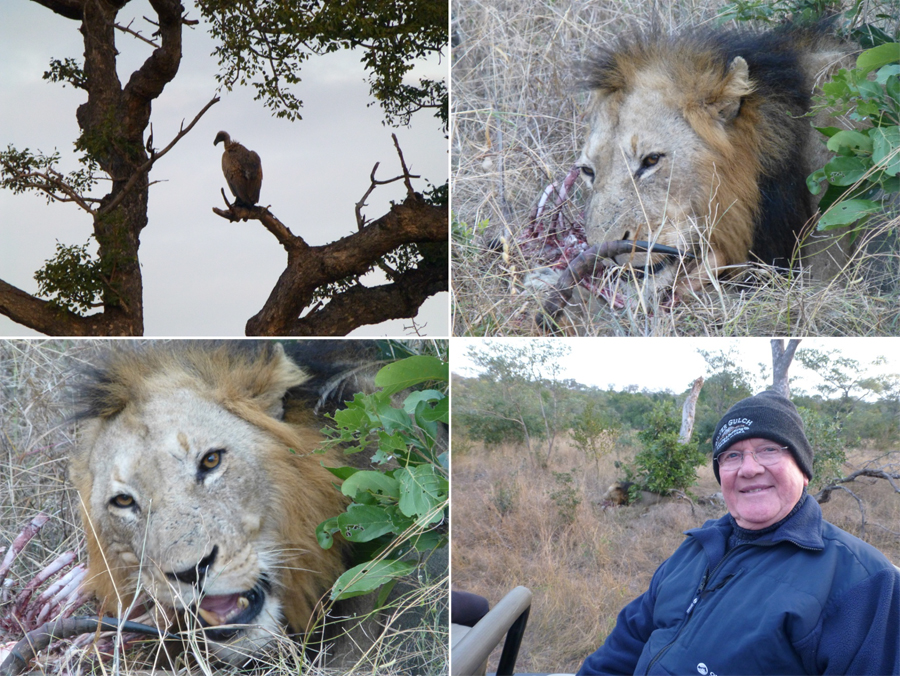 SouthAfrica-Jun-2017-chptr03-15