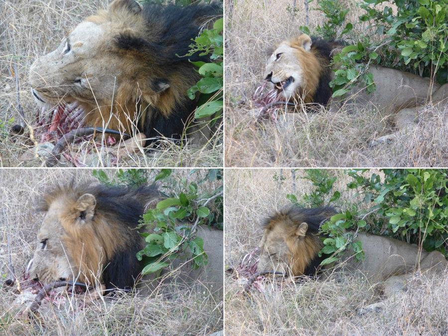 SouthAfrica-Jun-2017-chptr04-01