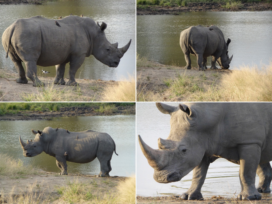 SouthAfrica-Jun-2017-chptr04-02