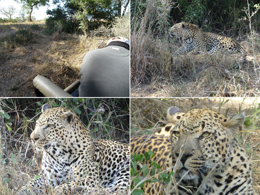 SouthAfrica-Jun-2017-chptr04-09