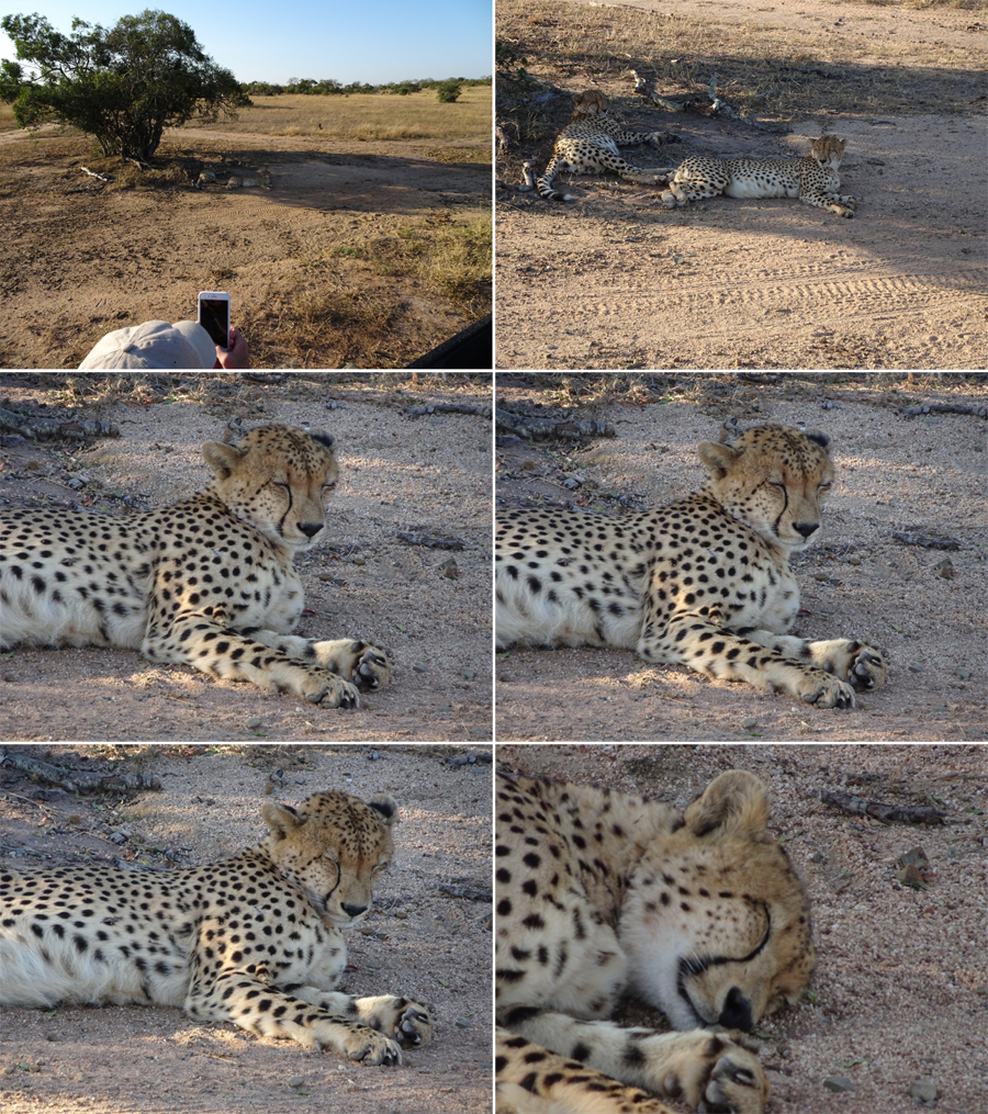 SouthAfrica-Jun-2017-chptr04-15