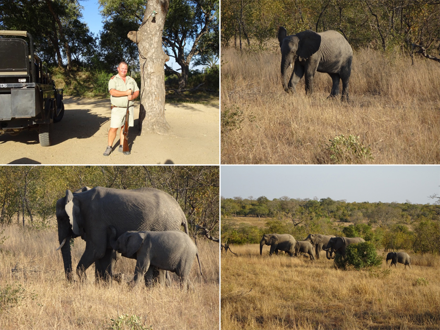 SouthAfrica-Jun-2017-chptr05-01