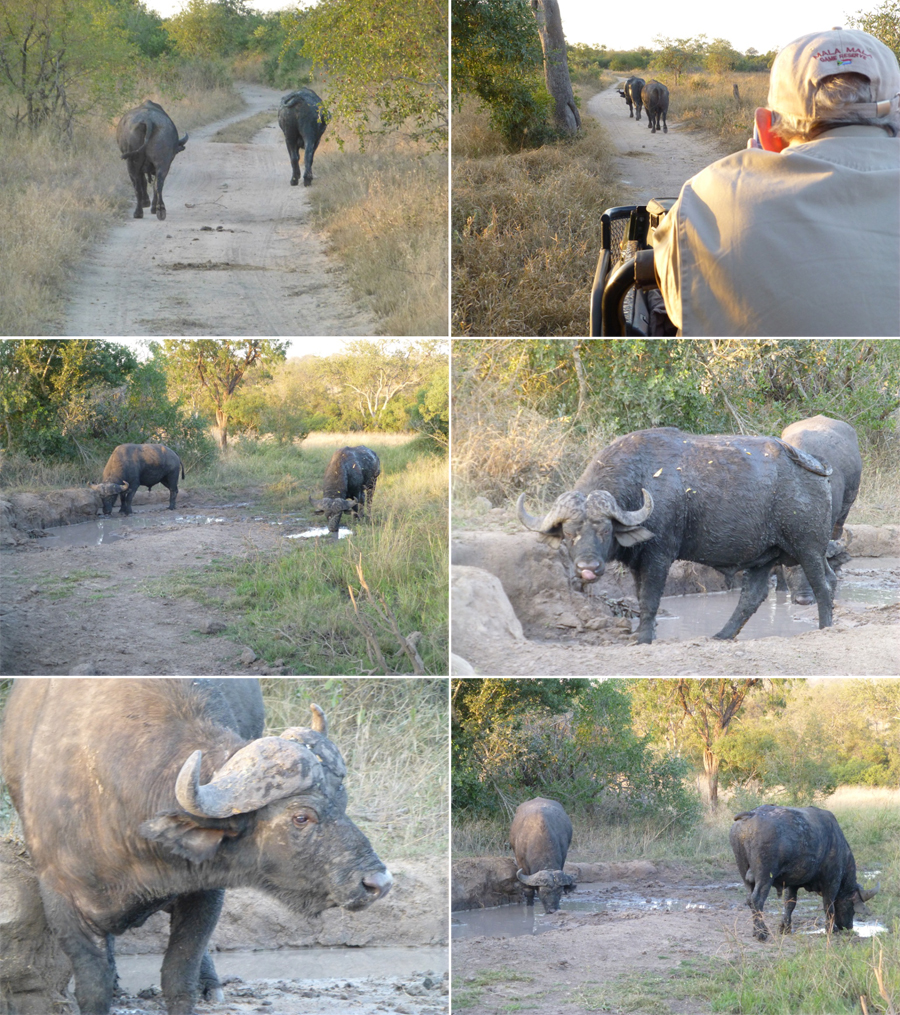 SouthAfrica-Jun-2017-chptr05-02