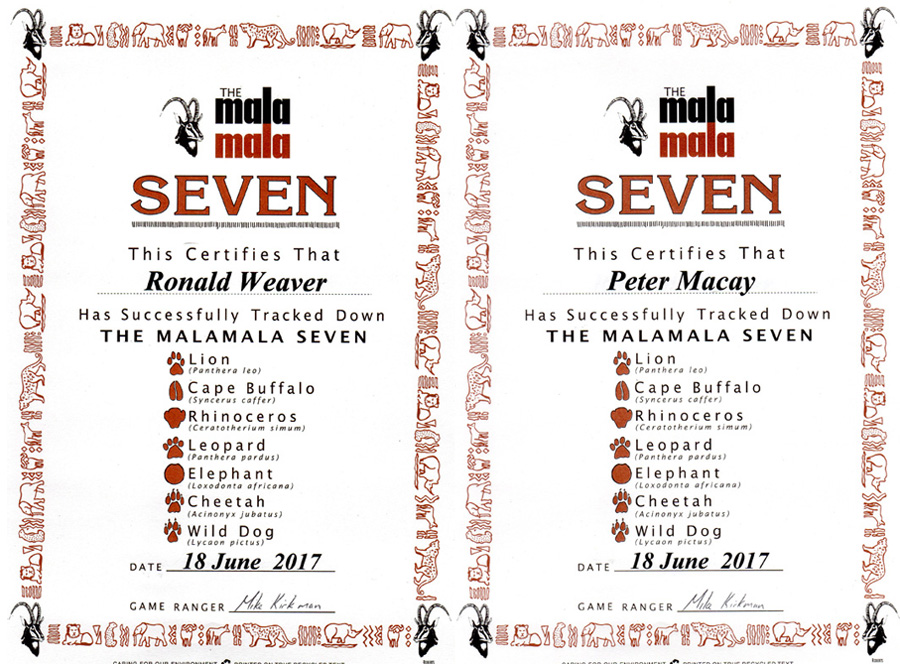 SouthAfrica-Jun-2017-chptr05-04