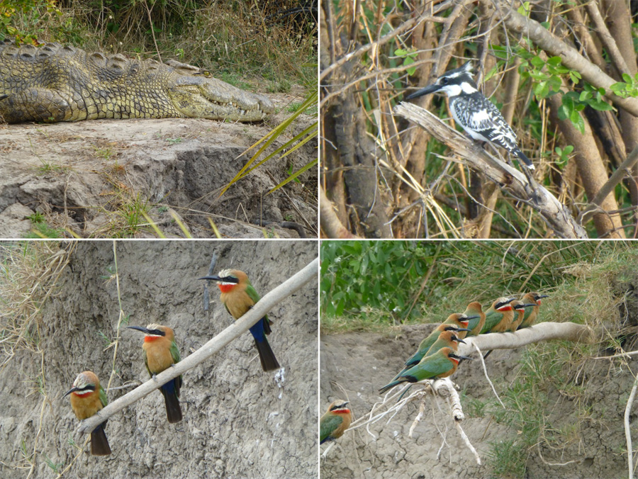 SouthAfrica-Jun-2017-chptr05-08