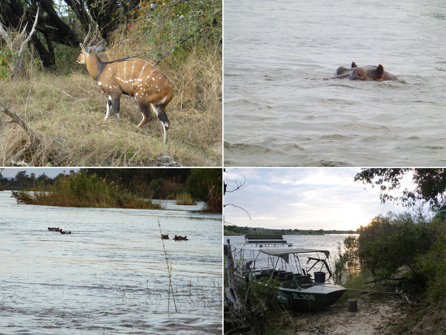 SouthAfrica-Jun-2017-chptr05-09