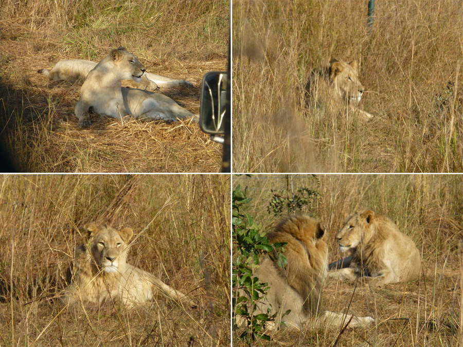 SouthAfrica-Jun-2017-chptr05-14