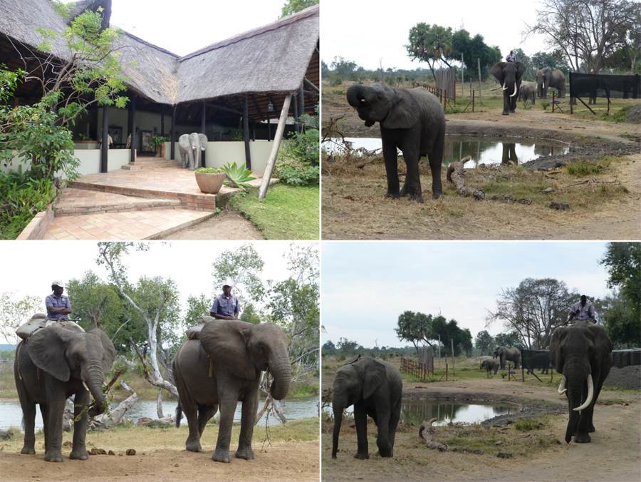 SouthAfrica-Jun-2017-chptr06-13