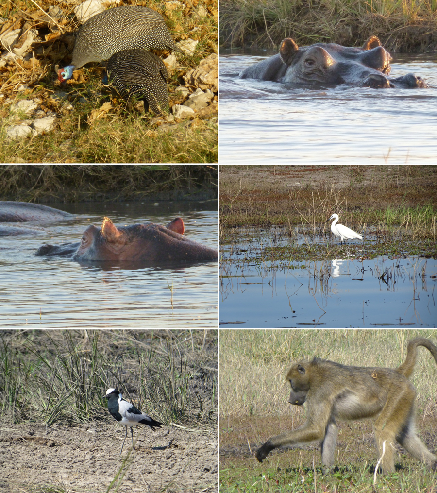 SouthAfrica-Jun-2017-chptr07-07