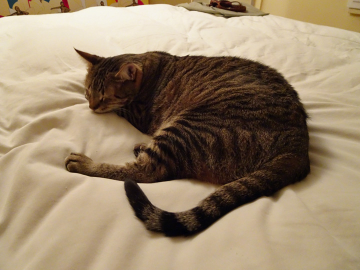 Ron-Bday-Jul-2017-14