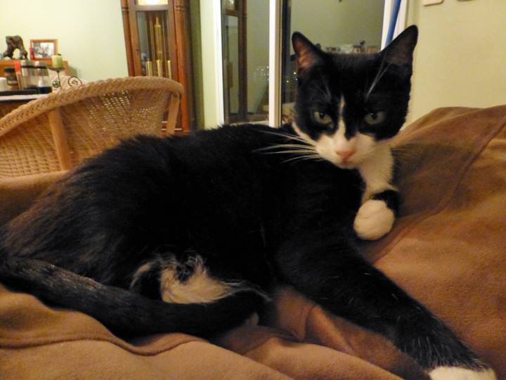 CindysMartiniGlasses-Oct-2017-6