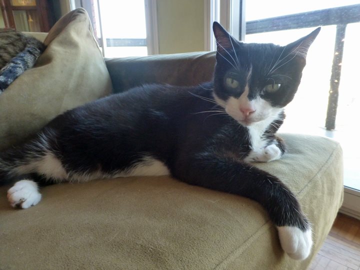 Jan-2018-CindyMartiniGlasses-4