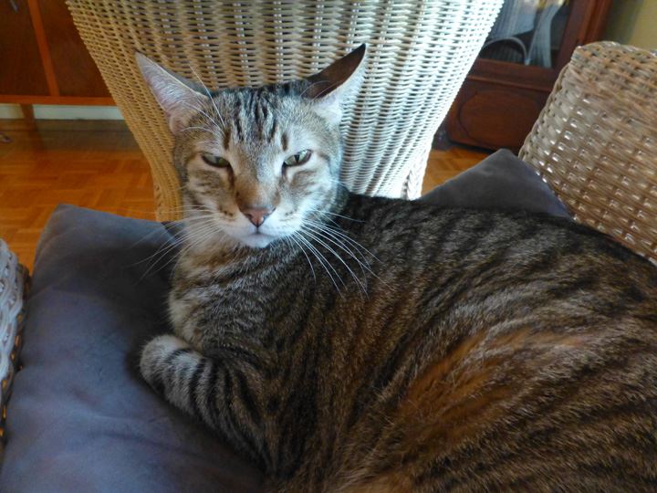 Pete-BDay-Feb-2018-02