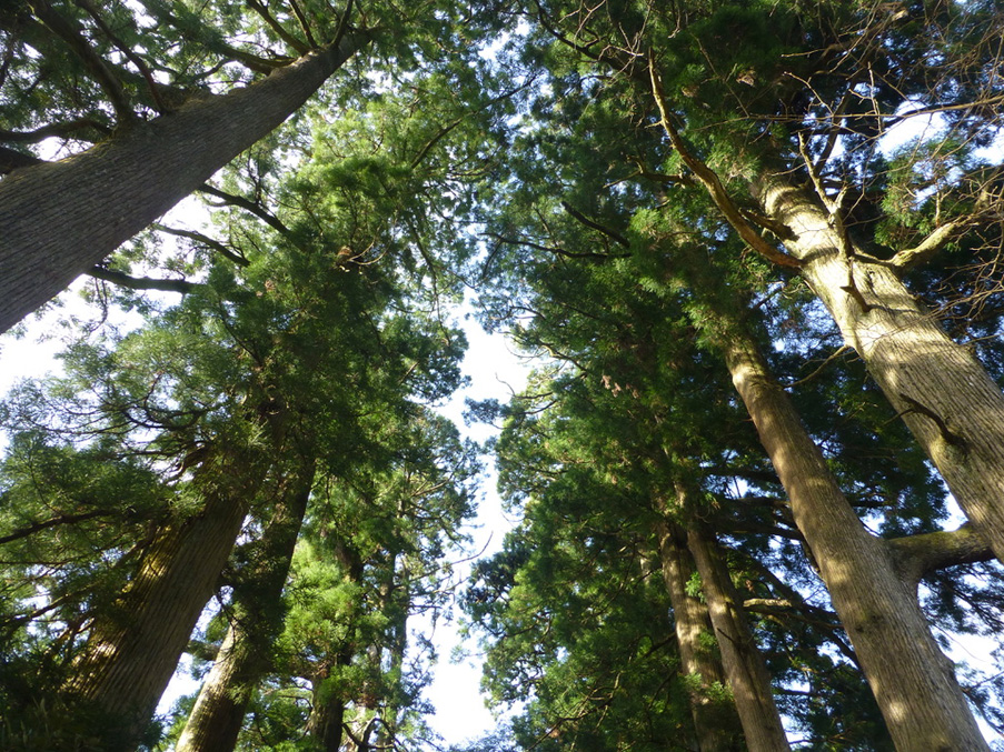 Japan-Apr-2018-chptr05-03