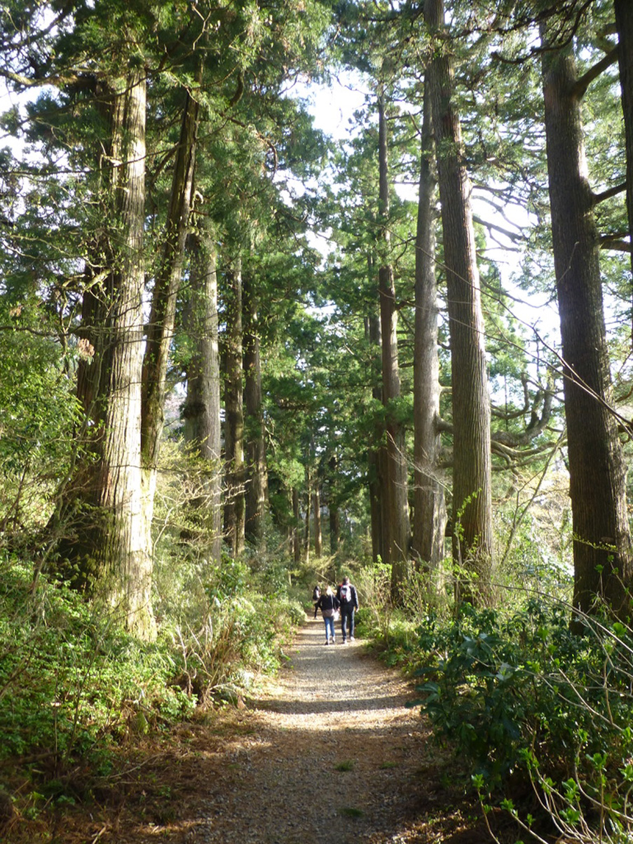 Japan-Apr-2018-chptr05-04