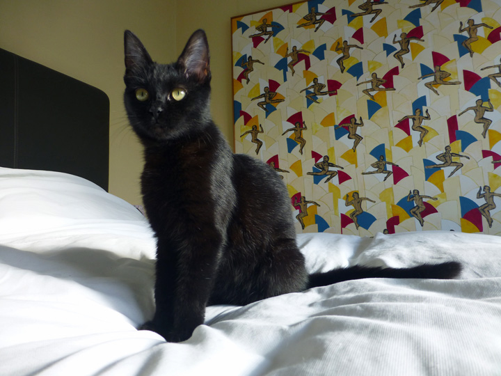 Lola-Rock-May-21-2018 (19)