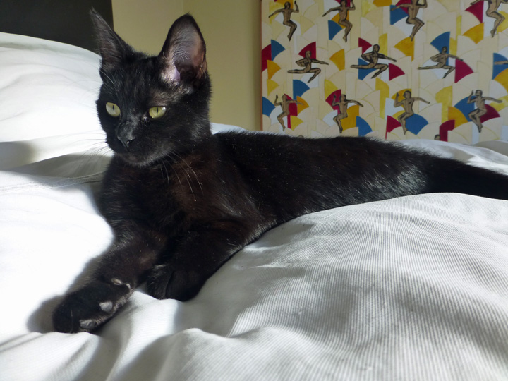 Lola-Rock-May-21-2018 (23)