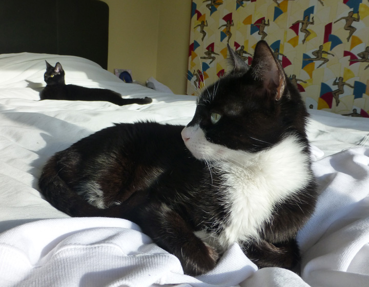 Lola-Rock-May-21-2018 (26)