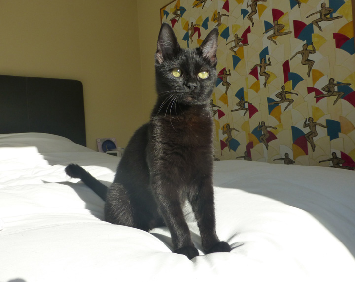 Lola-Rock-May-21-2018 (29)