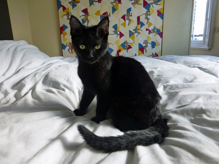 Lola-Rock-May-21-2018 (5)