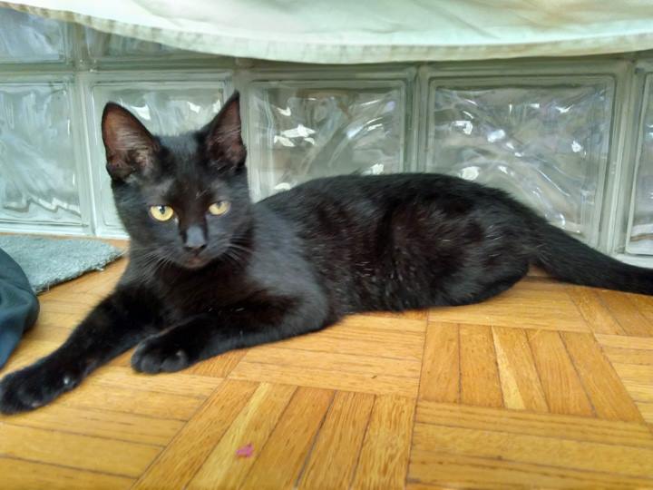 Lola May 11 2018 - 001