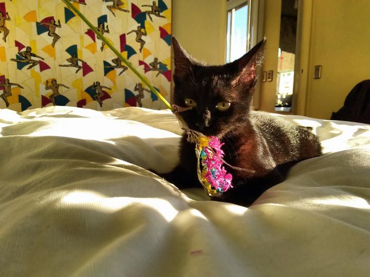 Lola May 11 2018 - 003