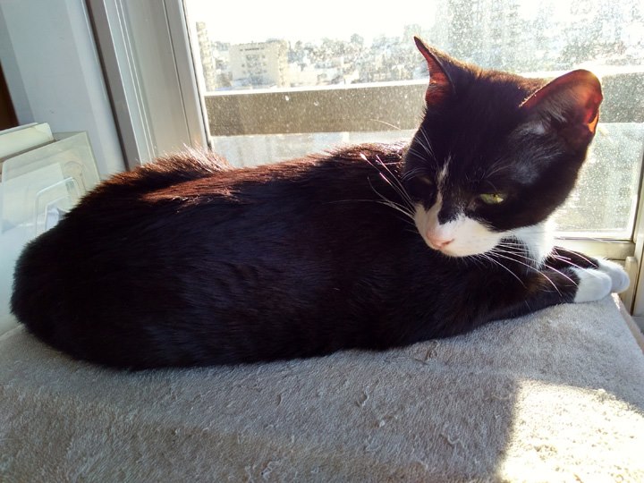 Lola May 11 2018 - 004