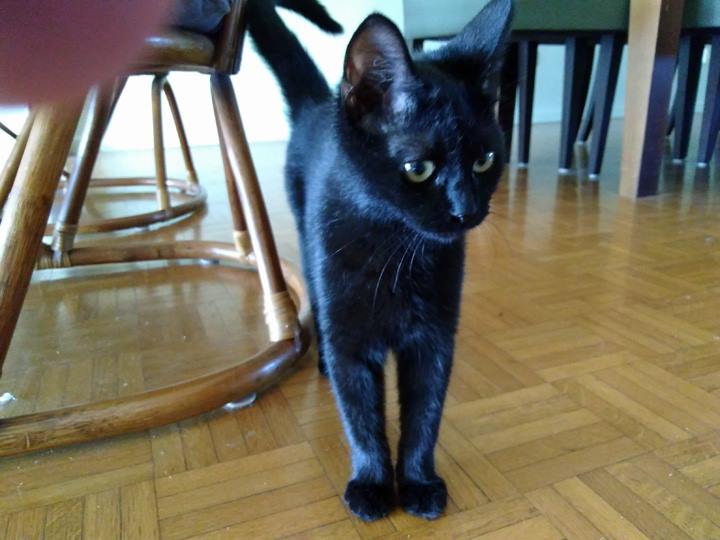 Lola May 11 2018 - 006