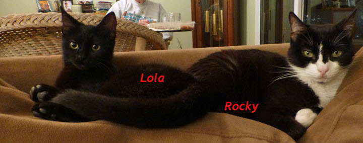 WhatsApp Image 2018-05-31 at 1.12.20 PM