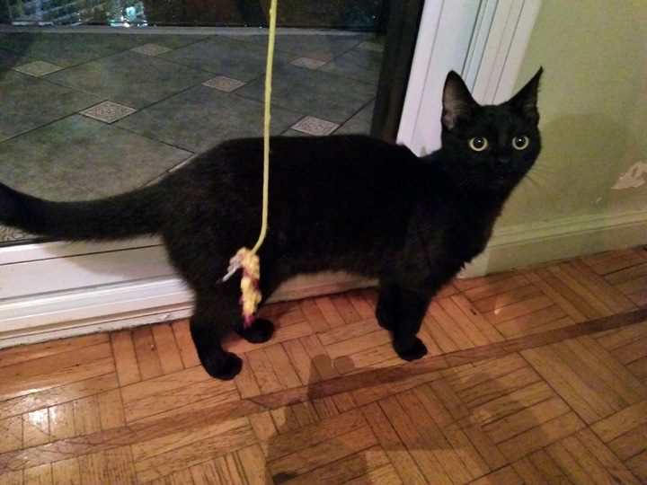 FreezingRon-July-2018-6