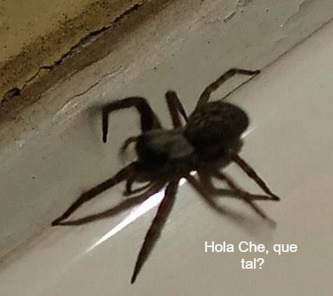 Fred - 2019-05-26 - 3