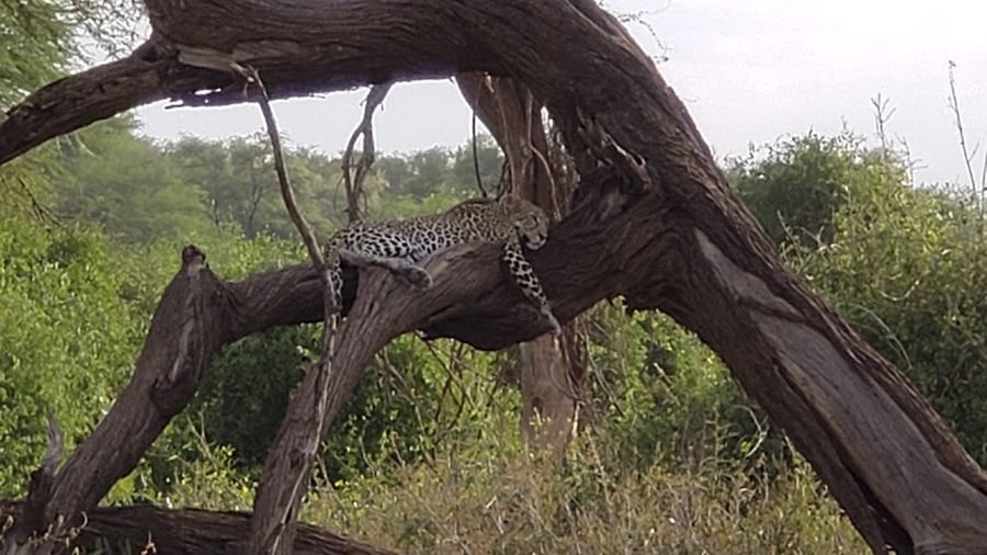 Kenya-Sept-2019-chptr01-15