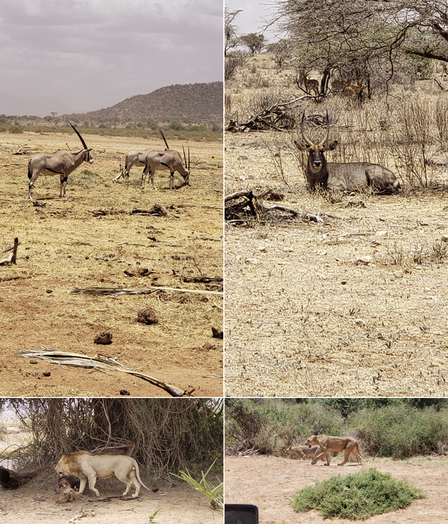 Kenya-Sept-2019-chptr01-19