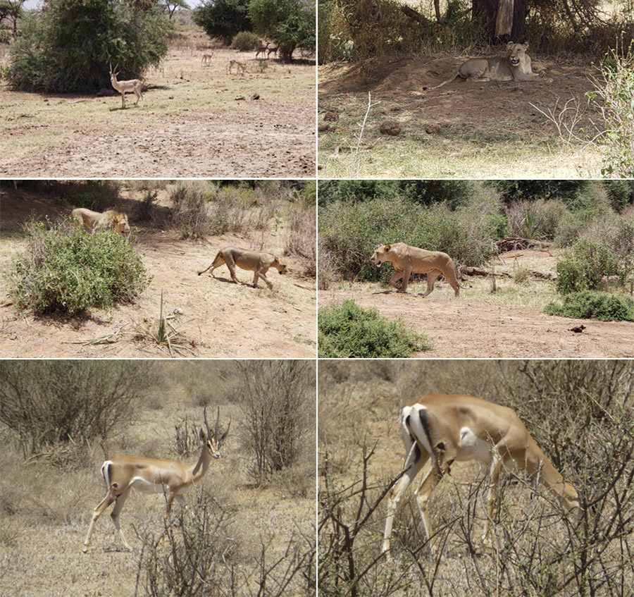 Kenya-Sept-2019-chptr01-21