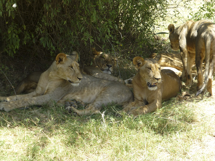 Kenya-Sept-2019-chptr01-23