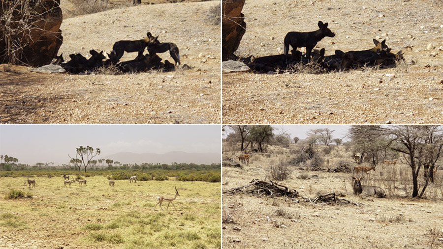 Kenya-Sept-2019-chptr01-27