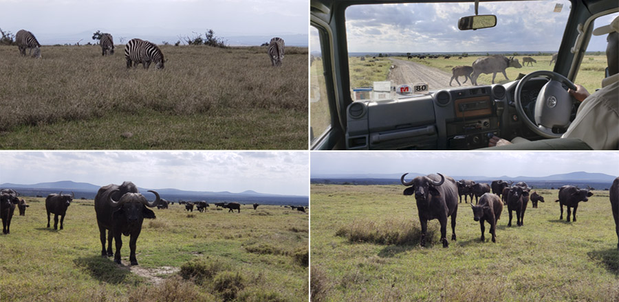 Kenya-Sept-2019-chptr01-33