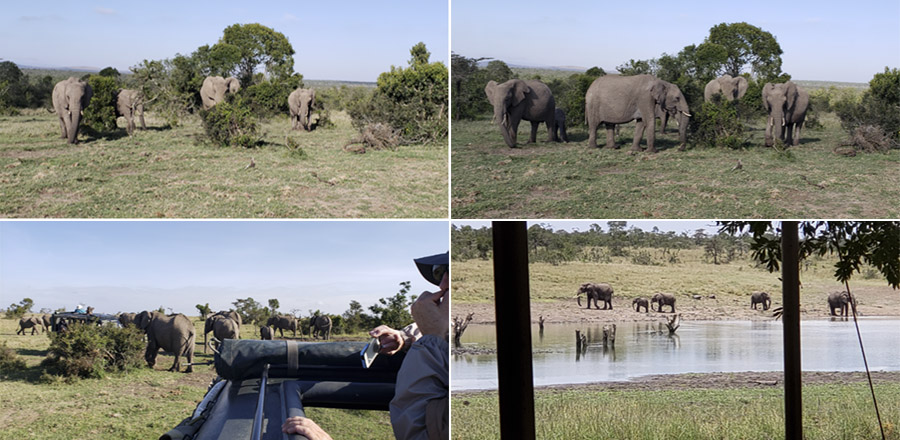 Kenya-Sept-2019-chptr01-36