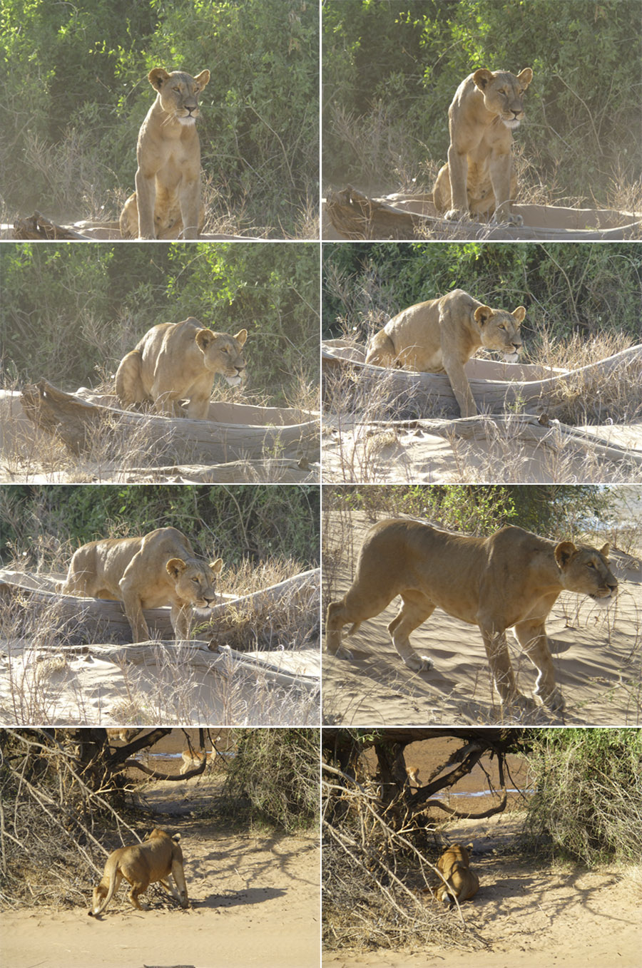 Kenya-Sept-2019-chptr02-02