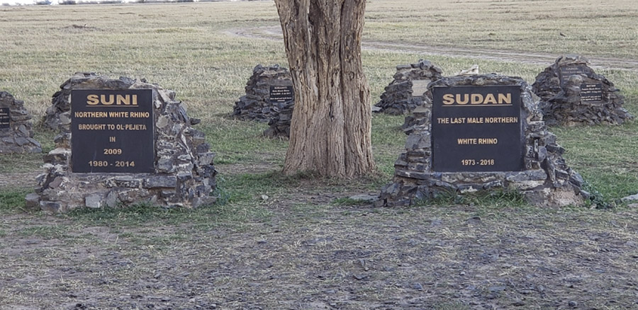 Kenya-Sept-2019-chptr02-04