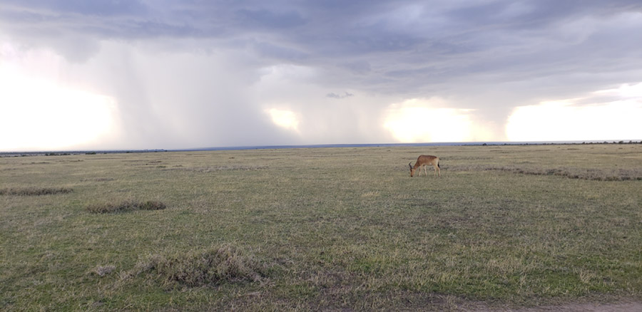 Kenya-Sept-2019-chptr02-12